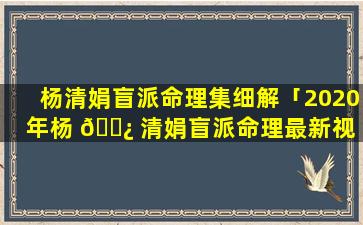 杨清娟盲派命理集细解「2020年杨 🌿 清娟盲派命理最新视 🌻 频」